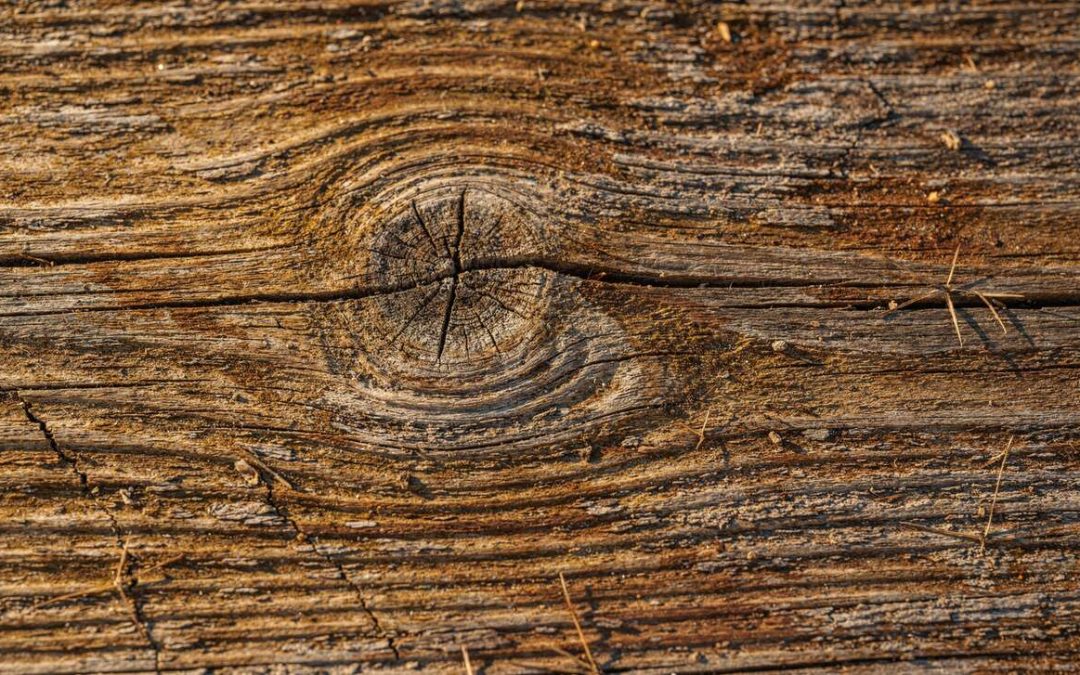 Caractéristiques naturelles du bois : noeuds, fentes, grisonnement