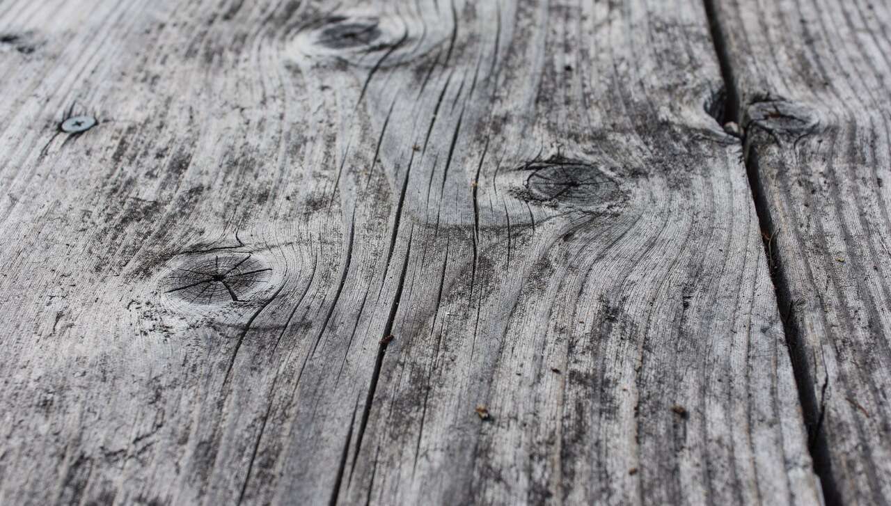 L'évolution du grisonnement en extérieur